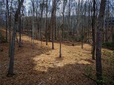 Lot 826 N Duffer Drive