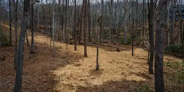 Lot 826 N Duffer Drive