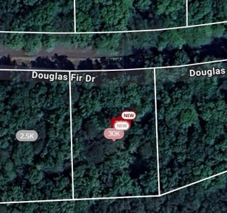 105 Douglas Fir Drive