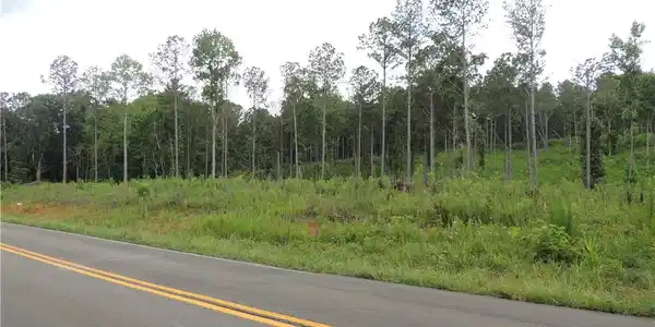 Lot 321 Grandview Road