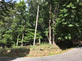 Lot 4410 Bee Tree Ridge Drive