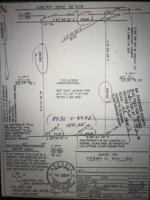 427 Airstrip Drive