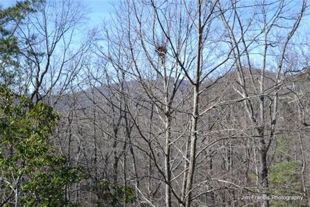 925 McElroy Mountain Drive