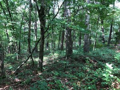 9310 Redbud Pass
