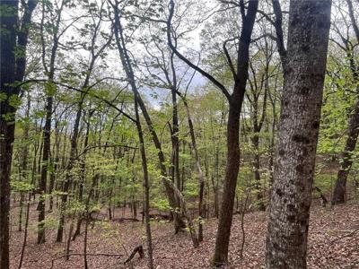 Tamarack Drive