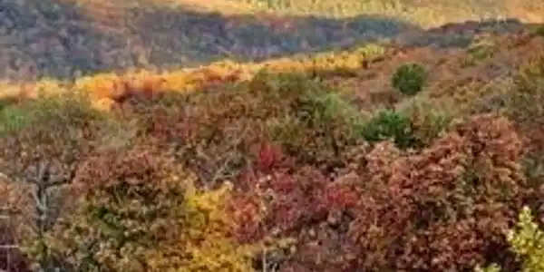 Lot 03 Upper Sassafras Parkway