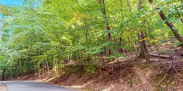 1.1AC Crippled Oak Trail