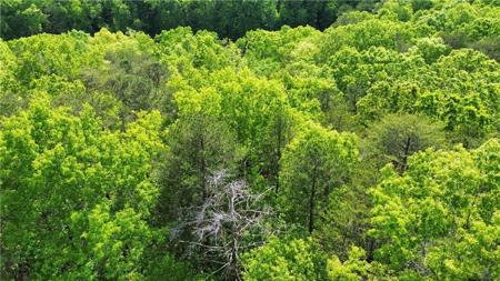 Brookside Point