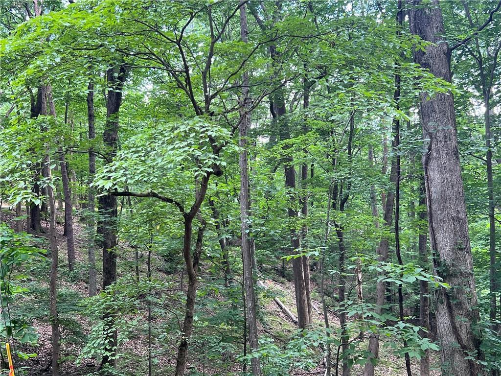 2643 Sunset Court, Jasper, GA - lhrmls-01717551 - LakeHomes.com