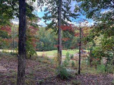 143 Hawks Trail