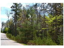 3434 White Aster Lane Lot 3434