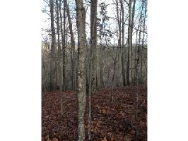 1464 Hannah Drive NE Lot 1464