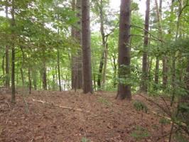 629 Blue Pine Court