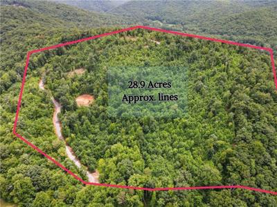 28.90 Acres Tom Wheeler Road