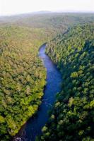 Ellijay