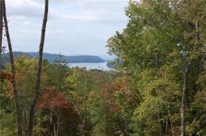 242 Carters View Lane