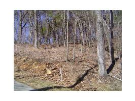 1546 Moss Patch Trail Lot 1546