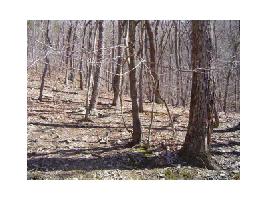 1544 Moss Patch Trail Lot 1544