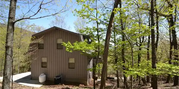 1224 Little Hendricks Mountain Road