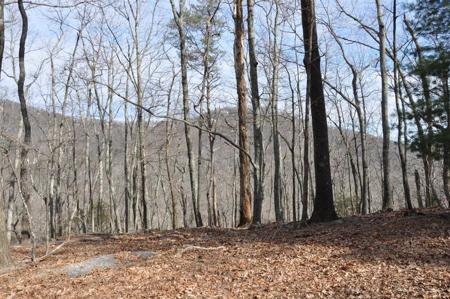 28 Petit Ridge Drive