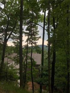554 Grouse Gap Drive