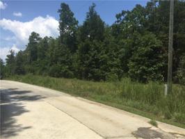 Lot 51 Beaverdam Drive