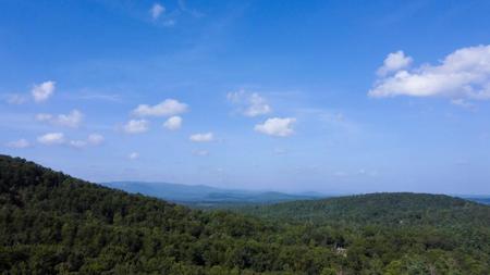 280 Royal Fern Trail