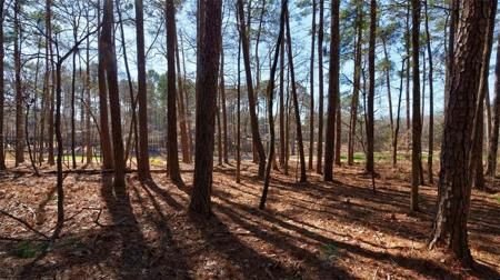 1011 Anchor Bay Trail