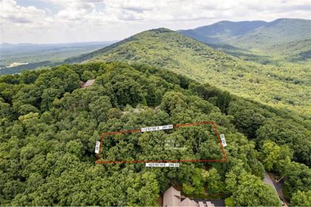 8242 Cox Mountain Drive