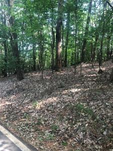 2089 McElroy Mountain Drive