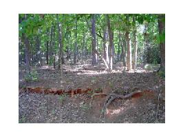 971 Coachwhip Trail Lot 971