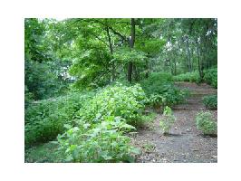 617 Panorama Pt Lot 617