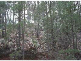 2215 Cherokee Trail Lot 2215