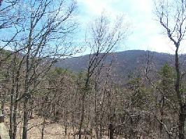 4329 Shadowick Mountain Road