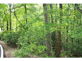4074 Lone Wolf Trail Lot 4074
