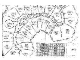 8253 Cox Mountain Lane Lot 8253