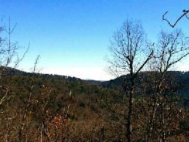 8104 Wilderness Parkway