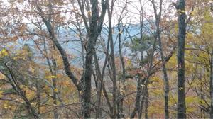 720 McElroy Mountain Drive
