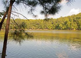 497 Cherokee Point Drive