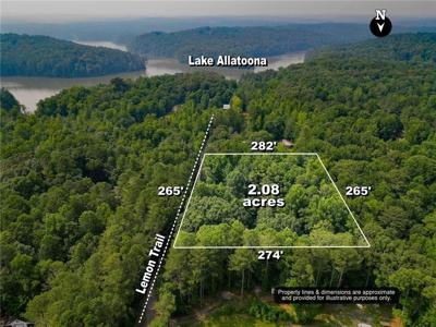 414 Lemon Trail