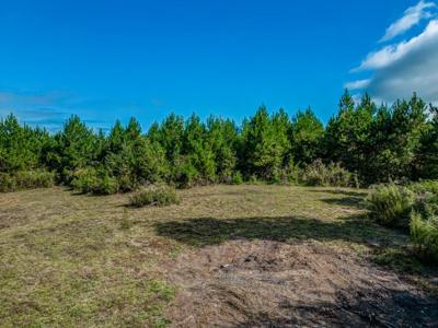 338 Old Jarrett Road