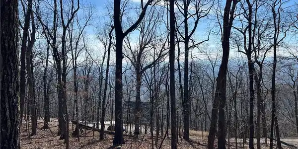 245 Little Hendricks Point
