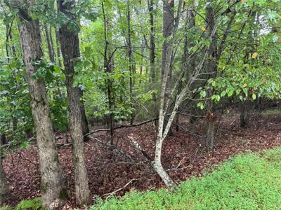 Lot 7 Enchanted Woods Drive