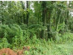 Lot 15 Cherokee Drive