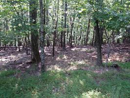 642 Fairview Court Lot 642