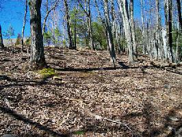 470 FALCON Heights Lot 3093