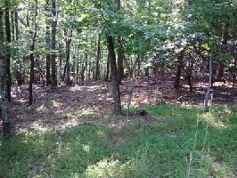 107 Little Pine Mountain Road Lot 107 LP