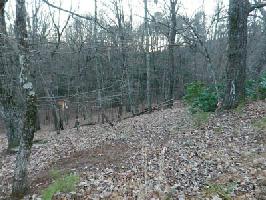 3532 Bear Creek Drive Lot 3532
