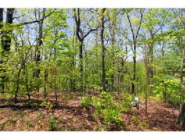 8254 Cox Mountain Drive Lot 8254