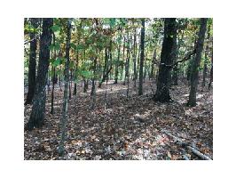 130 Bear Drive Lot 5
